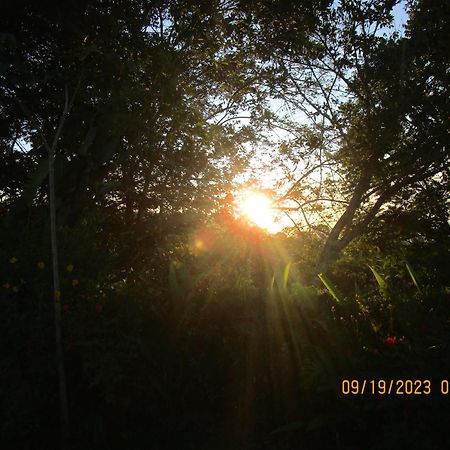 Casa Aquiares Lodge Posada Rural Turrialba Ngoại thất bức ảnh