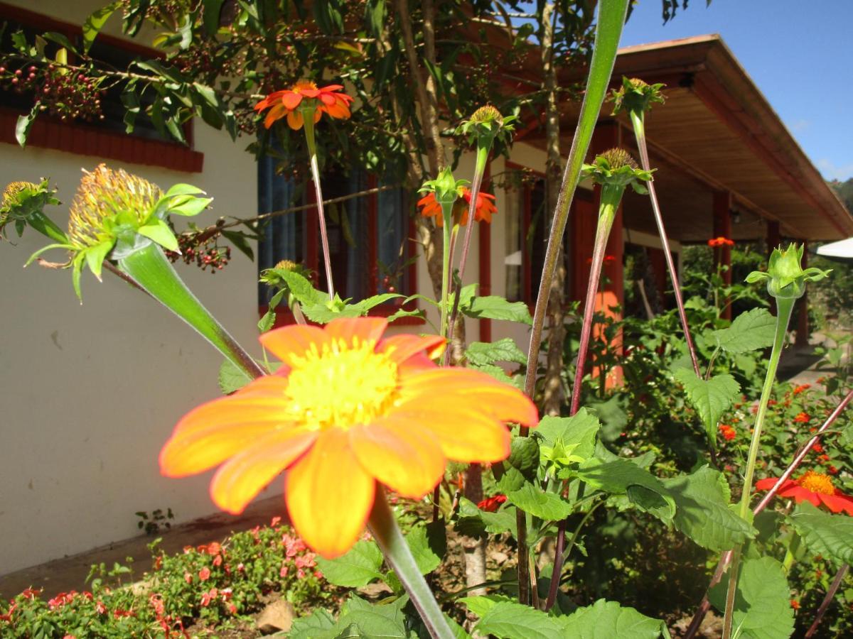 Casa Aquiares Lodge Posada Rural Turrialba Ngoại thất bức ảnh