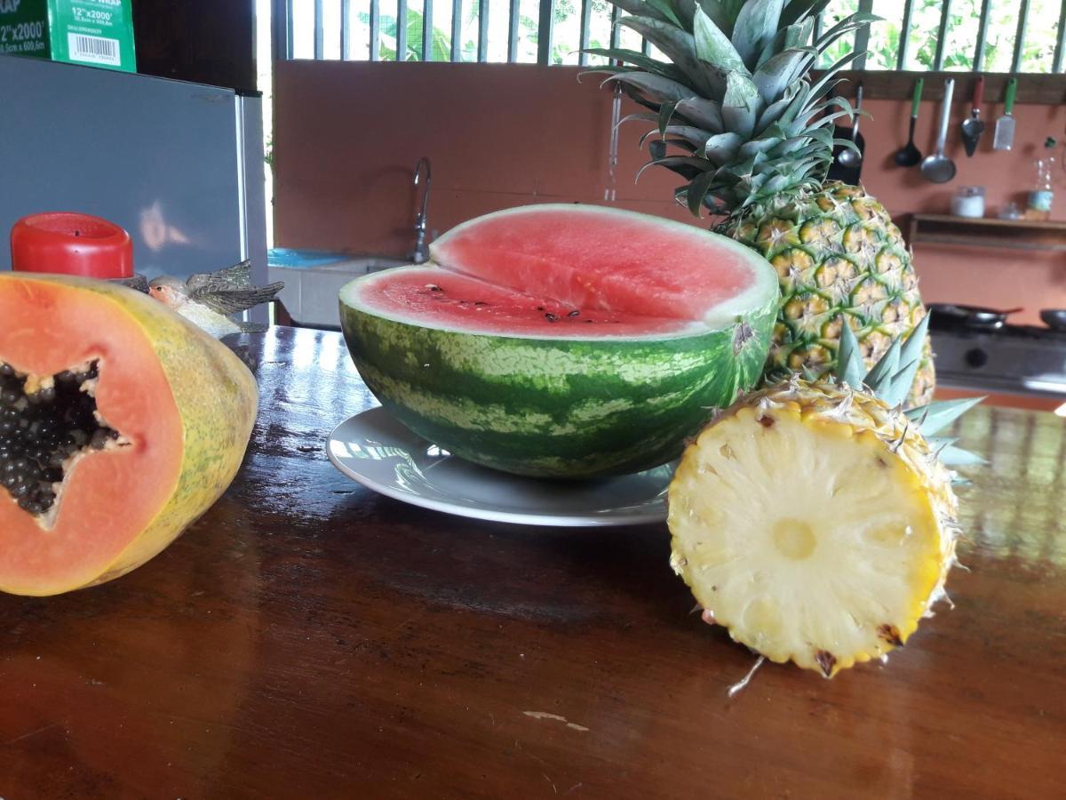 Casa Aquiares Lodge Posada Rural Turrialba Ngoại thất bức ảnh